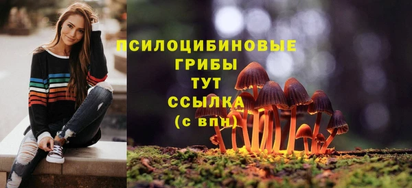 прущая мука Алзамай
