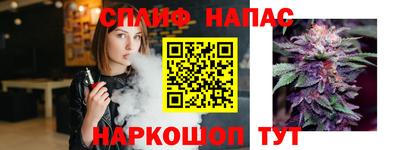 тгк Кингисепп