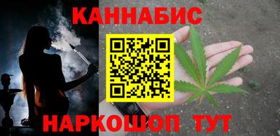 тгк Кингисепп