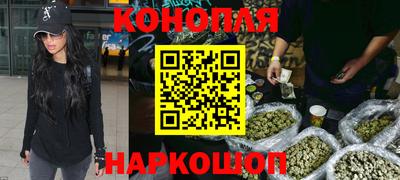 тгк Кингисепп