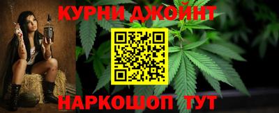 тгк Кингисепп