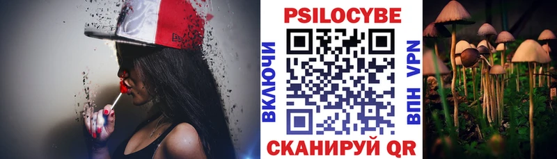 Псилоцибиновые грибы мухоморы  купить наркотик  Лесозаводск 