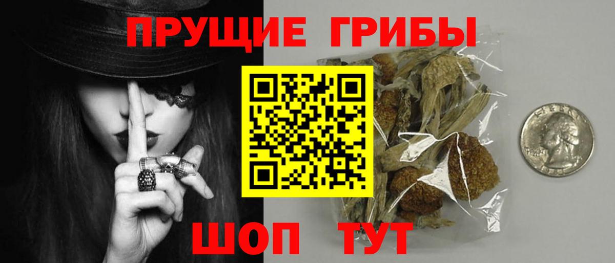 Галлюциногенные грибы мицелий Лесозаводск